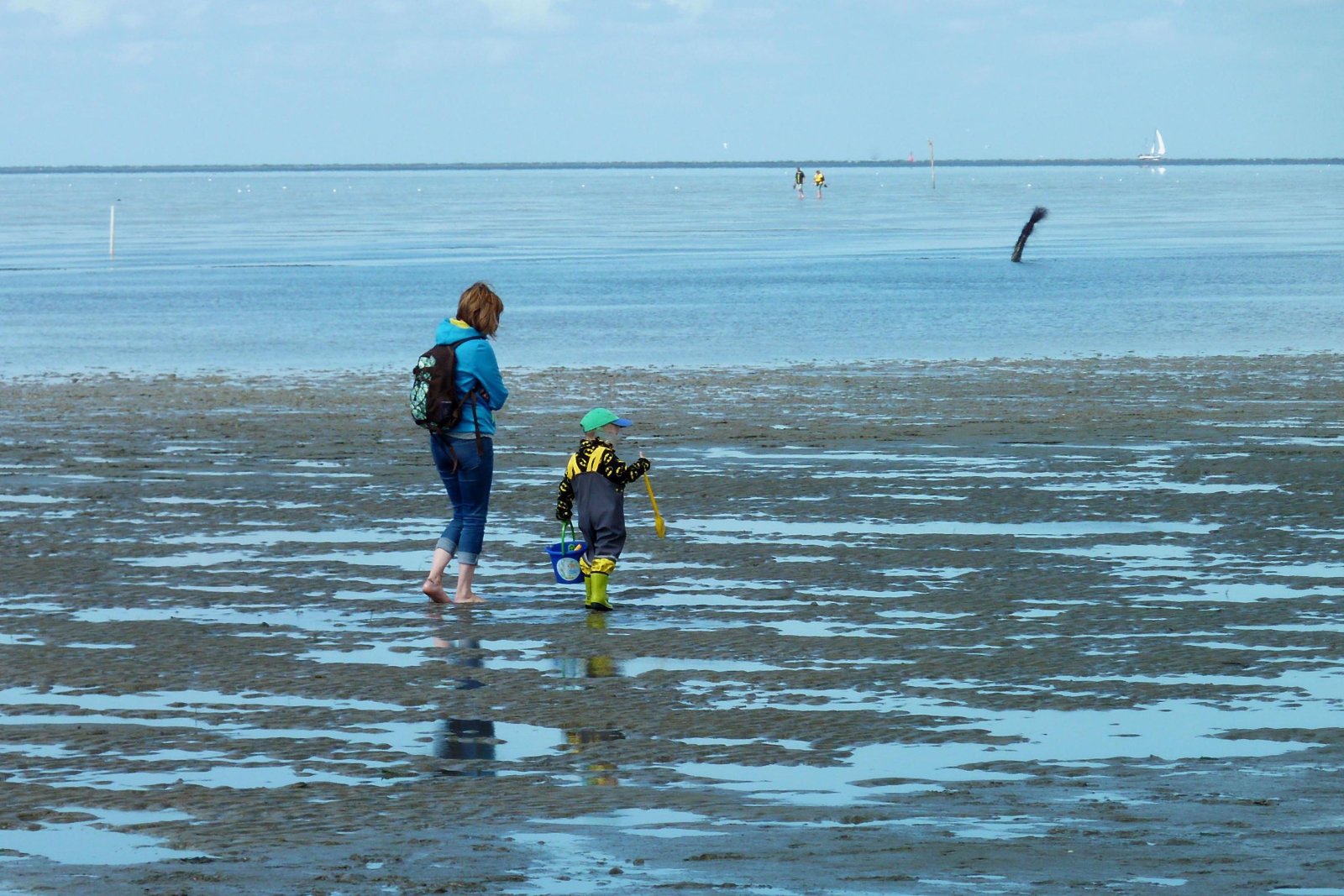 Wattenmeer