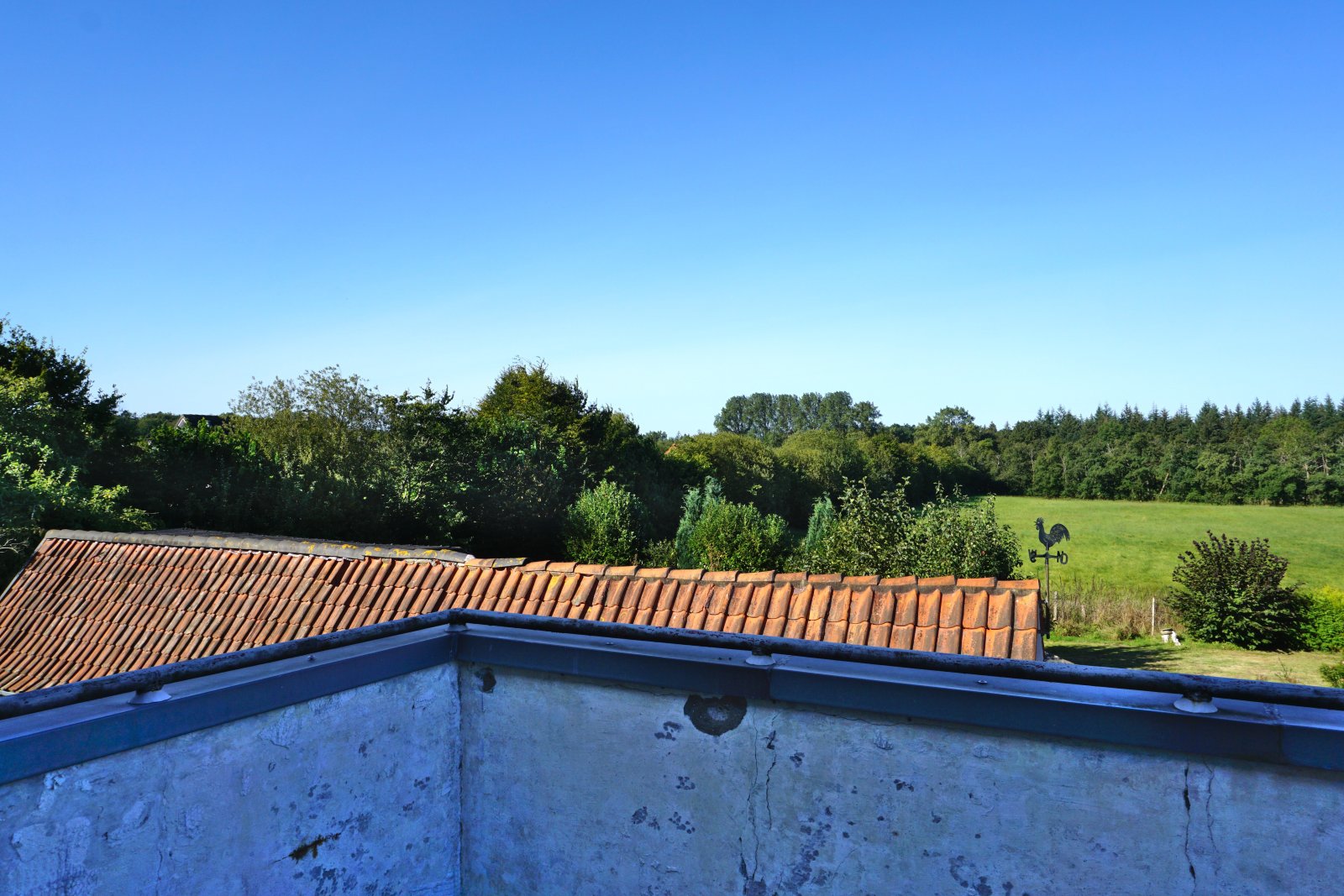 Weitblick vom Balkon OG